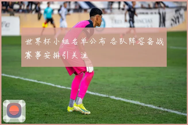 世界杯小组名单公布 各队阵容备战赛事安排引关注