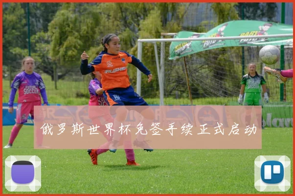 俄罗斯世界杯免签手续正式启动