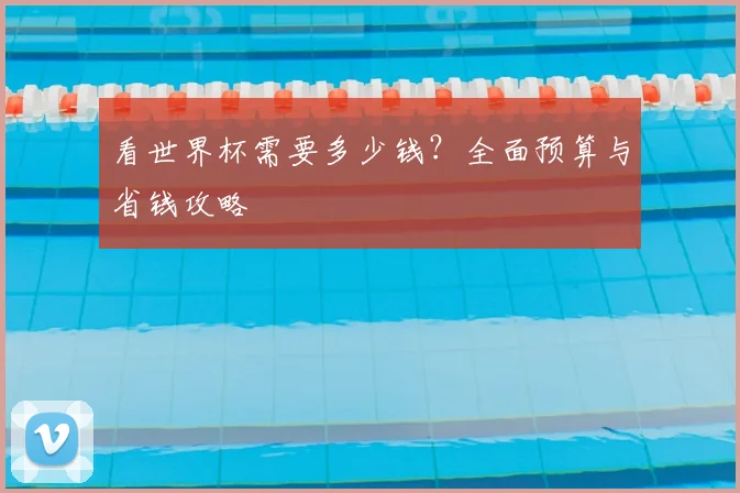 看世界杯需要多少钱？全面预算与省钱攻略