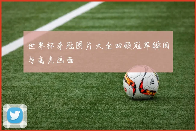 世界杯夺冠图片大全回顾冠军瞬间与高光画面