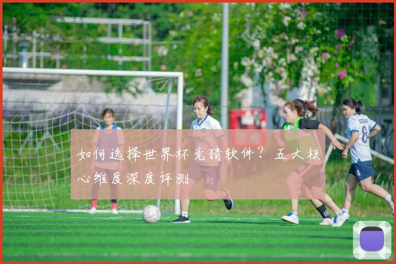 如何选择世界杯竞猜软件？五大核心维度深度评测