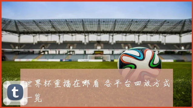 世界杯重播在哪看 各平台回放方式一览